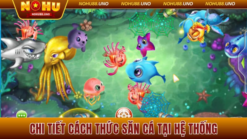 Chi tiết cách thức săn cá tại hệ thống