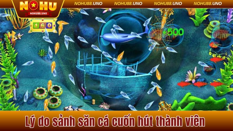Lý do sảnh săn cá cuốn hút thành viên