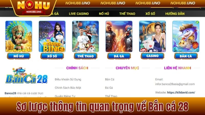 Sơ lược thông tin quan trọng về Bắn cá 28